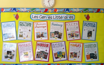 Et si votre genre littéraire vous choisissait, et pas l’inverse ?